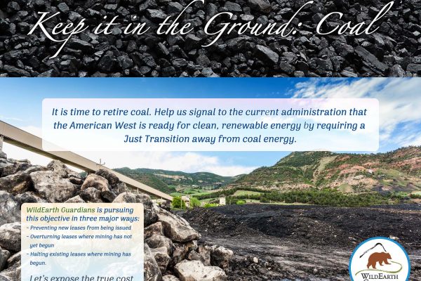 Howling Affair - Coal Poster web